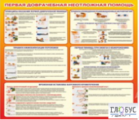 Стенд "Первая доврачебная неотложная помощь" - «globural.ru» - Набережные Челны