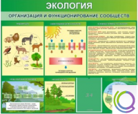 Стенд "Экология. Организация и функционирование сообществ" - «globural.ru» - Набережные Челны