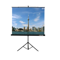 Проекционный экран на штативе Lumien Eco View (LEV-100105) 160x160 см - «globural.ru» - Набережные Челны