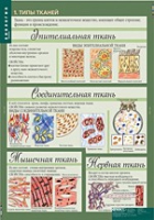 Биология 8-9 класс. Человек. (комплект таблиц) - «globural.ru» - Набережные Челны