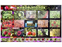 Комплект оборудования "Живой уголок" (растения) с тифлопереводом и сурдокомментариями - «globural.ru» - Набережные Челны