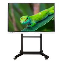 Интерактивный комплекс Geckotouch ​​​​​​​86RK - «globural.ru» - Набережные Челны