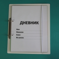 Дневник школьника (с полным набором карточек) - «globural.ru» - Набережные Челны