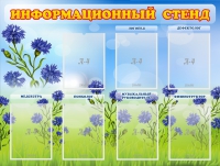 Стенд информационный с 7 карманами - «globural.ru» - Набережные Челны