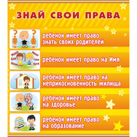 Стенд "Знай свои права" - «globural.ru» - Набережные Челны