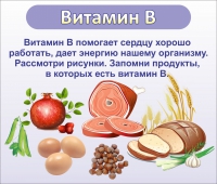 Стенд "Витамин В" - «globural.ru» - Набережные Челны