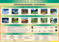 Обобщающие таблицы 1000*700 винил	 - «globural.ru» - Набережные Челны