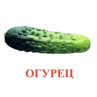 Карточки Домана "Овощи-Зелень-1" - «globural.ru» - Набережные Челны