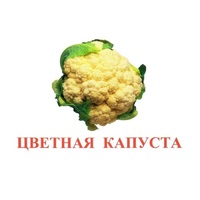 Карточки Домана "Овощи-Зелень-2" - «globural.ru» - Набережные Челны