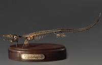 Модель скелета мозазавра Mosasaurus - «globural.ru» - Набережные Челны