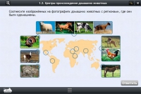 Интерактивные курсы. Биология 7 класс. Расширенный - «globural.ru» - Набережные Челны