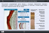 Интерактивные курсы. Биология 5 класс. Расширенный - «globural.ru» - Набережные Челны