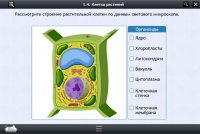 Интерактивные курсы. Биология 9 класс. Расширенный - «globural.ru» - Набережные Челны