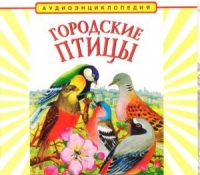 CD "Аудиоэнциклопедия. Городские птицы" - «globural.ru» - Набережные Челны