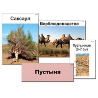 Модель-аппликация "Природные зоны России" - «globural.ru» - Набережные Челны