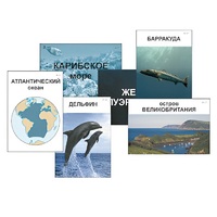 Модель-аппликация "Океаны. Знакомство" (ламинированная) - «globural.ru» - Набережные Челны