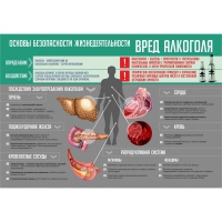 Стенд "Алкоголь" - «globural.ru» - Набережные Челны