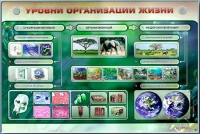 Электрифицированный стенд "Уровни организации жизни" - «globural.ru» - Набережные Челны