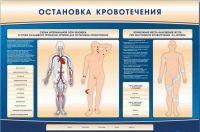 Электрифицированный стенд-тренажер "Остановка кровотечения" - «globural.ru» - Набережные Челны