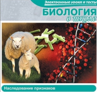 CD "Биология в школе. Наследование признаков" (электронные уроки и тесты) - «globural.ru» - Набережные Челны