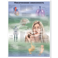 Плакат "Никотиновая зависимость", ламинированный, 50*67 см - «globural.ru» - Набережные Челны