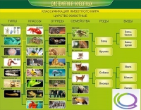 Стенд "Систематика животных" - «globural.ru» - Набережные Челны