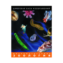 Зоология. Микрофотографии. (Цифровая база изображений) - «globural.ru» - Набережные Челны