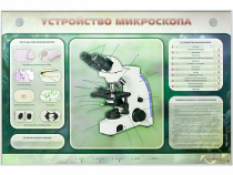 Электрифицированный стенд "Устройство микроскопа и правила работы c ним" - «globural.ru» - Набережные Челны