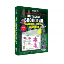 Наглядная биология. Растения. Грибы. Бактерии - «globural.ru» - Набережные Челны