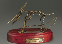 Модель скелета птерозавра Pteranodon - «globural.ru» - Набережные Челны