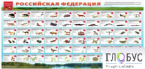Стенд "Красная книга РФ" - «globural.ru» - Набережные Челны