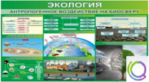 Стенд "Экология. Антропогенное воздействие на биосферу" - «globural.ru» - Набережные Челны