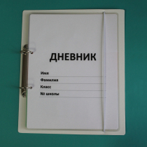 Дневник школьника (с полным набором карточек) - «globural.ru» - Набережные Челны
