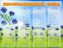 Стенд информационный с 7 карманами - «globural.ru» - Набережные Челны