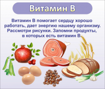 Стенд "Витамин В" - «globural.ru» - Набережные Челны