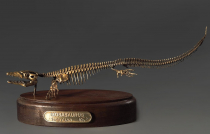 Модель скелета мозазавра Mosasaurus - «globural.ru» - Набережные Челны