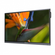 Интерактивный программно-аппаратный комплекс Geckotouch Interactive Pro IP75HT-E в комплекте с настенным креплением - «globural.ru» - Набережные Челны