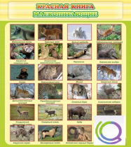 Стенд "Красная книга - млекопитающие" - «globural.ru» - Набережные Челны