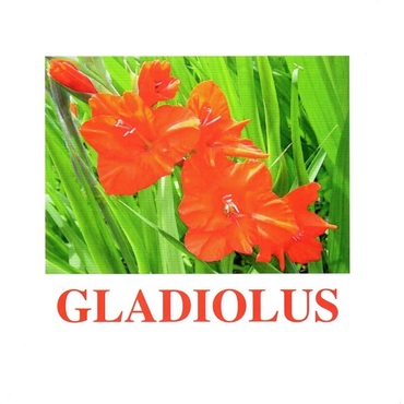 "Flowers-1" ("Цветы-1") английские карточки Домана - «globural.ru» - Набережные Челны