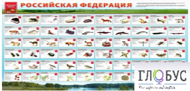 Стенд "Красная книга РФ" - «globural.ru» - Набережные Челны