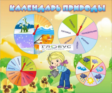 Стенд "Календарь природы" (вариант 1) - «globural.ru» - Набережные Челны