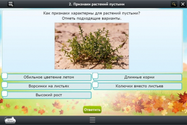 Интерактивные курсы. Окружающий мир 3 класс. Базовый - «globural.ru» - Набережные Челны